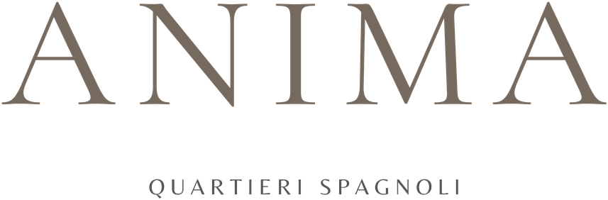 Anima Quartieri Spagnoli